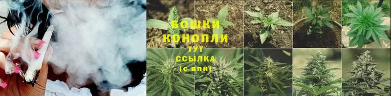 Бошки Шишки THC 21%  Малаховка 